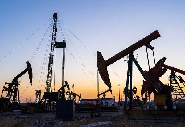 Oil and Gas Seals