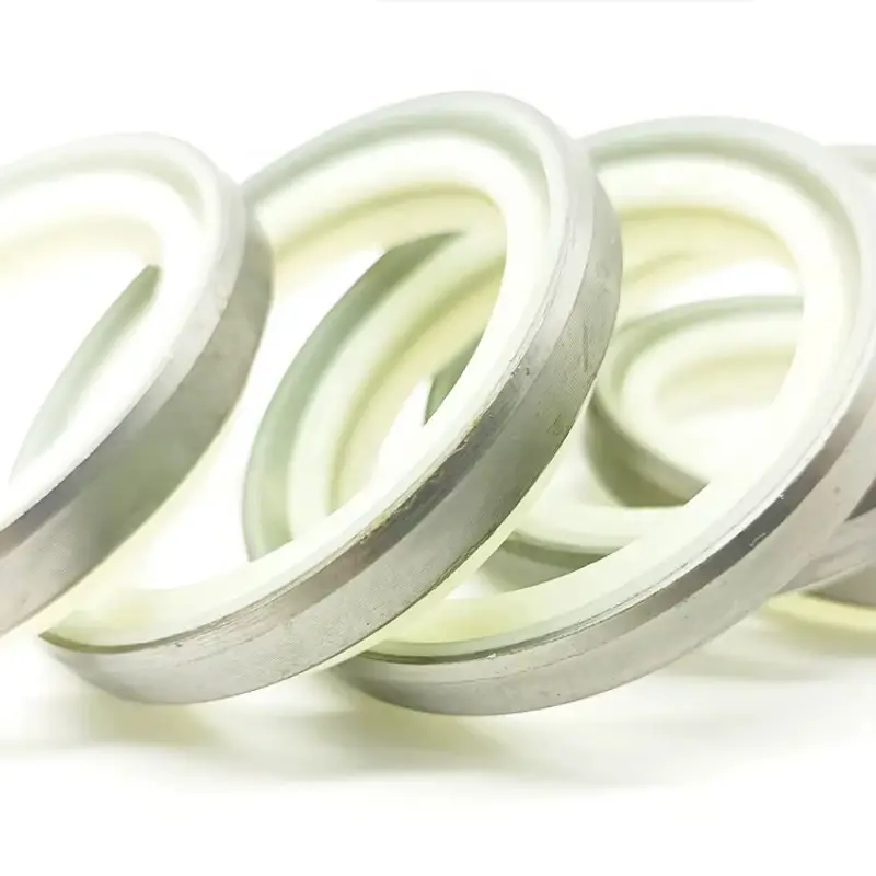 hydraulic cylinder seals
