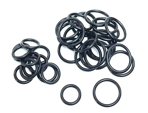 Rotary Shaft Seals