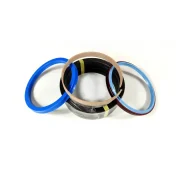 4464986 Seal Kit for Excavator Cylinder