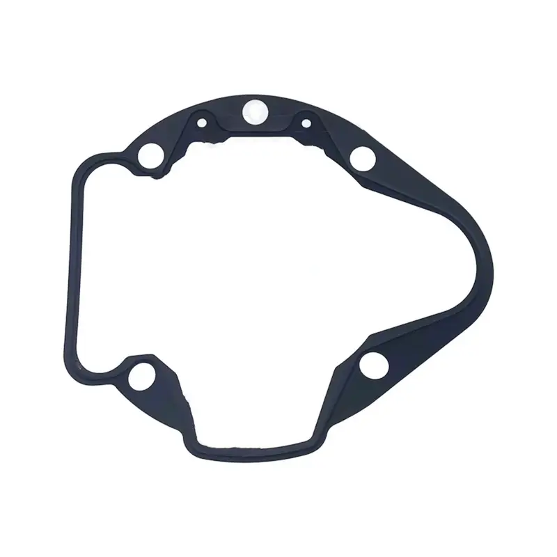 0825602 Main Pump Gasket