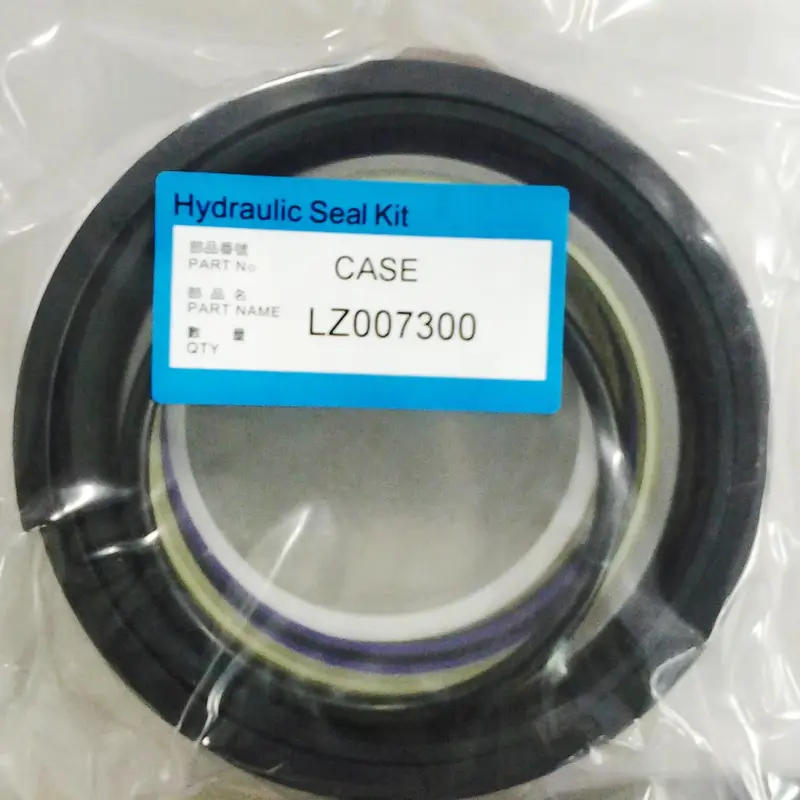 LZ007300 Cylinder Seal Kit for Case CX350B